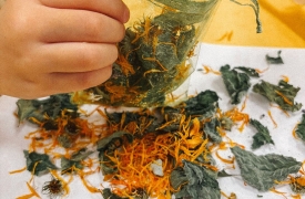 WhatsApp-attels-2025-10-18-plkst.-11.19.19_0ae05444